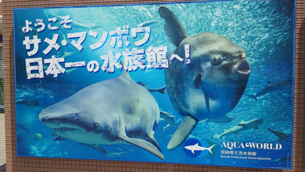 サメとマンボウ日本一の水族館