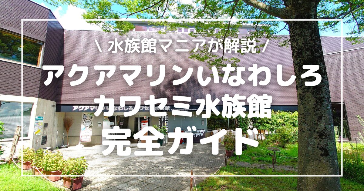 アクアマリンいなわしろカワセミ水族館観光完全ガイド｜水族館マニアが見どころ、割引チケット情報、営業情報を徹底解説